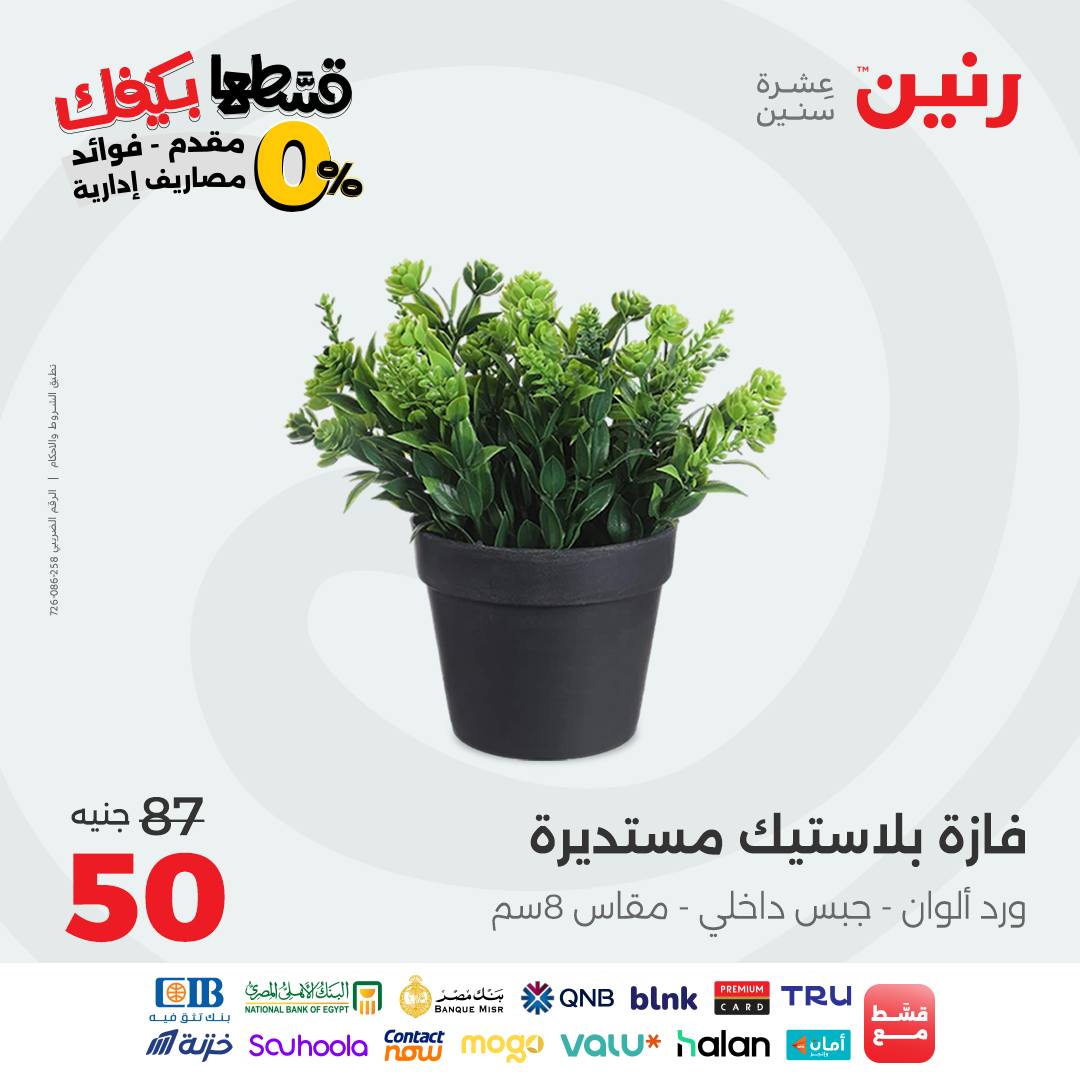 raneen offers from 12sep to 1sep 2025 عروض رنين من 12 سبتمبر حتى 1 سبتمبر 2025 صفحة رقم 66